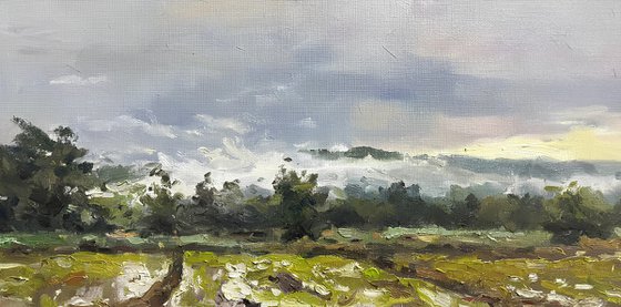 Morning Mist After the Rain