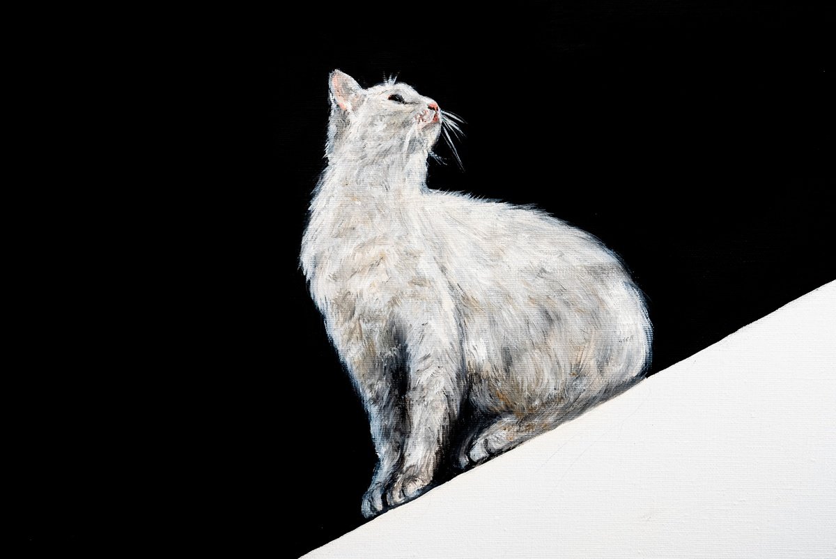 Geometric Oil Painting , Minimalist Cat That