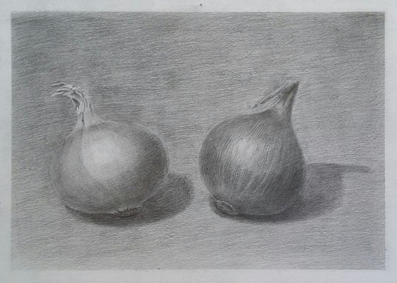 Still life # 3 Onion. Original pencil drawing.