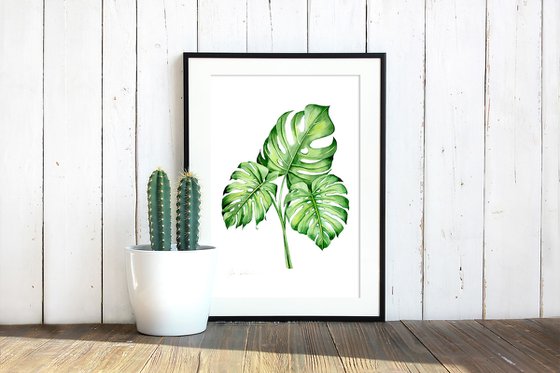 Monstera Bouquet