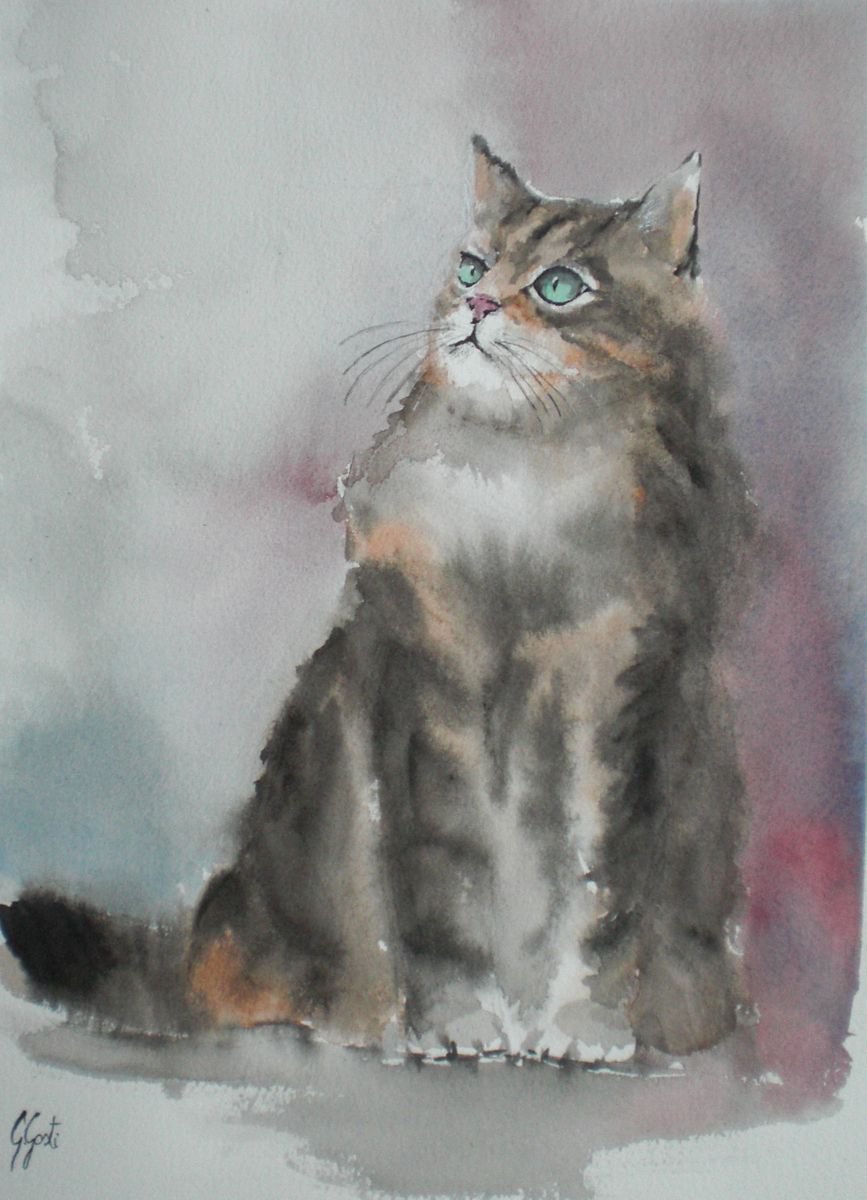 Expressive Animal Watercolour By Giorgio Gosti, 10 X 14, Staring Cat, Original Artwork