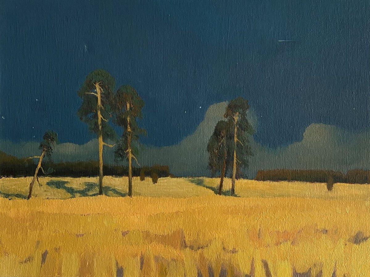 Impressionistic Landscape Oil Painting By Bohdan Vykhrenko, 16 X 12, In The Moonlight, Original Artwork