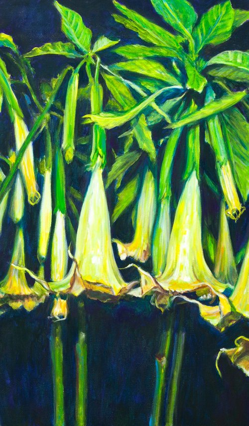 Angels Trumpets by Liudmila Pisliakova