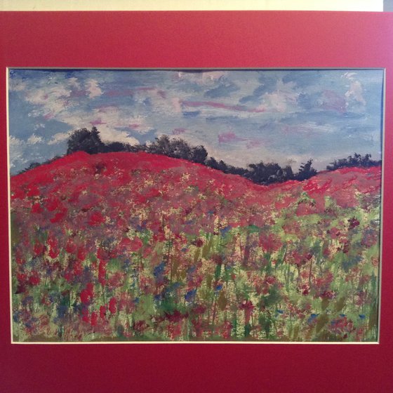 Poppy Field