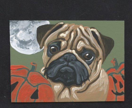 Halloween Fawn Pug