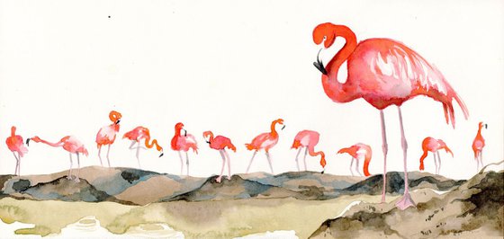Line of Flamingos
