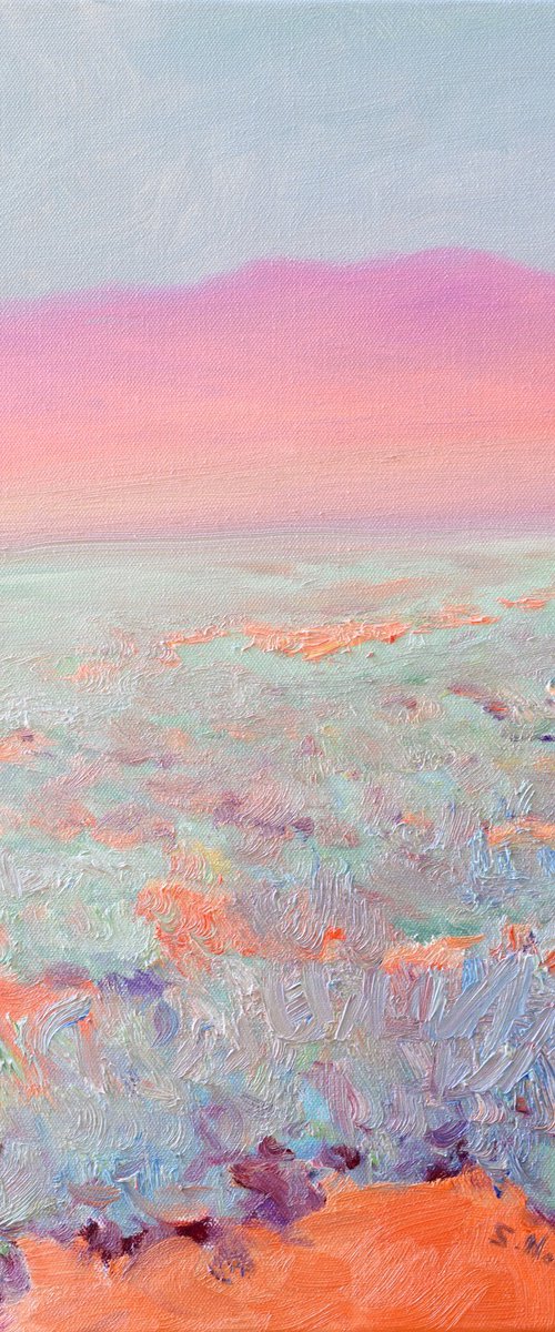 Hazy Day, Desert by Suren Nersisyan