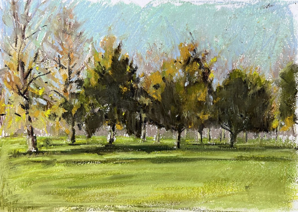 Clapham Common treeline by Louise Gillard