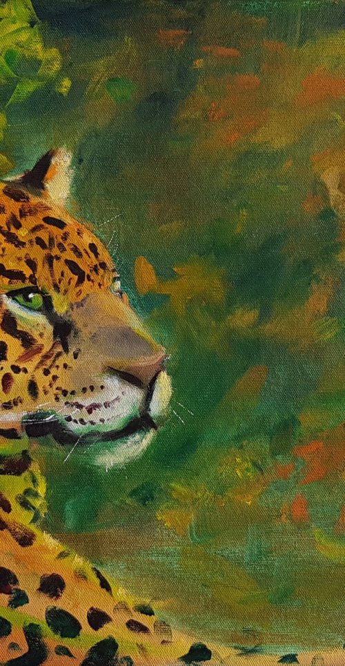 Onça pintada (Jaguar) by Ana Elisa Aguilera de Barros