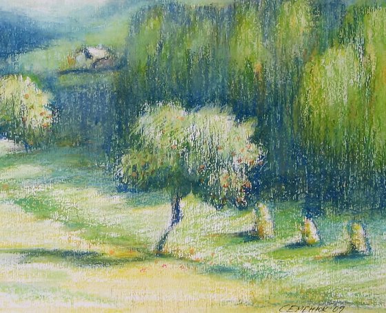 Apple trees. Landscape