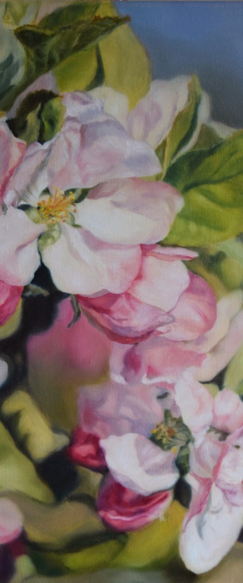 Spring 2021 (Apple tree blossom) by Silvia Habán