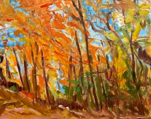 An Autumn Forest by Kat X