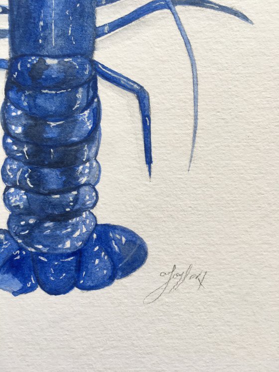 Blue lobster