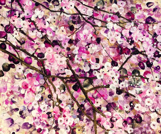 Cherry Blossom Serenade