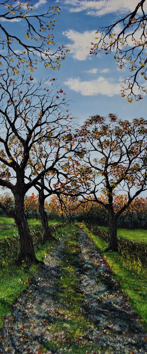 A Walk in Autumn by Hazel Thomson