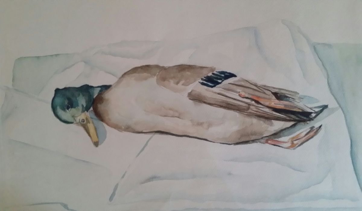 Impressionistic Animal Watercolour By Els Driesen, 22 X 16, Death Duck, Original Artwork