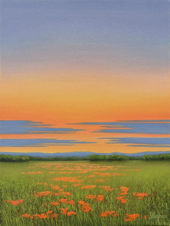 Twilight Sky - Colorful Flower Field Landscape