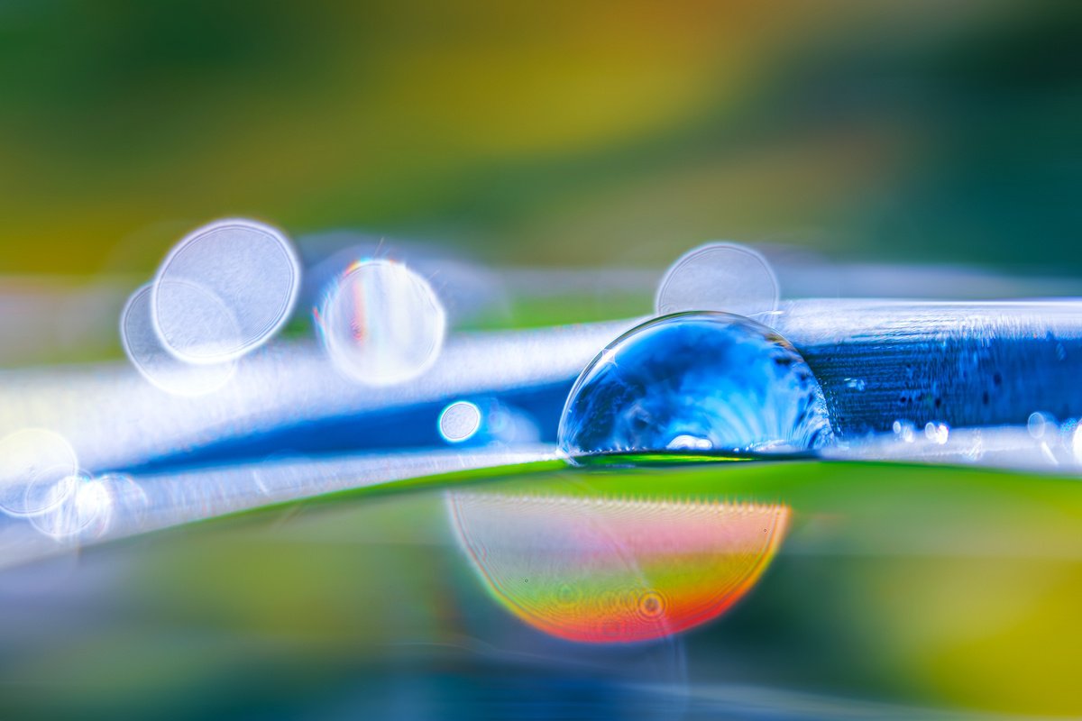 Organic Abstract Photograph By Inna Etuvgi, 39 X 28, Caught By Ursa, Original Artwork