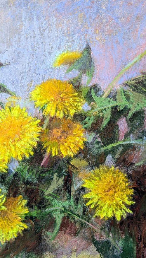 Dandelions 1´26 by Silja Salmistu