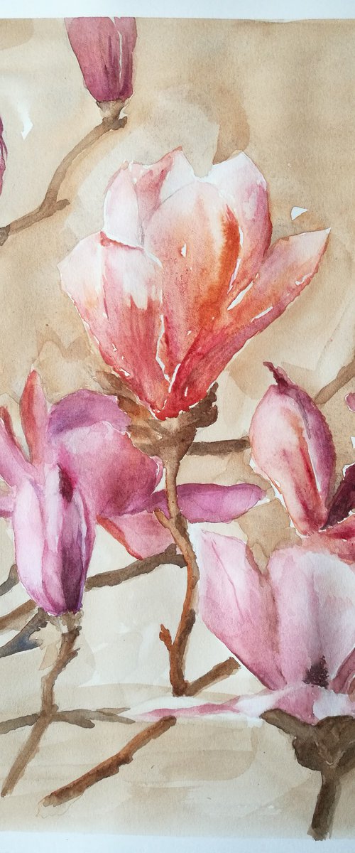 Magnolias by Daniela Roughsedge