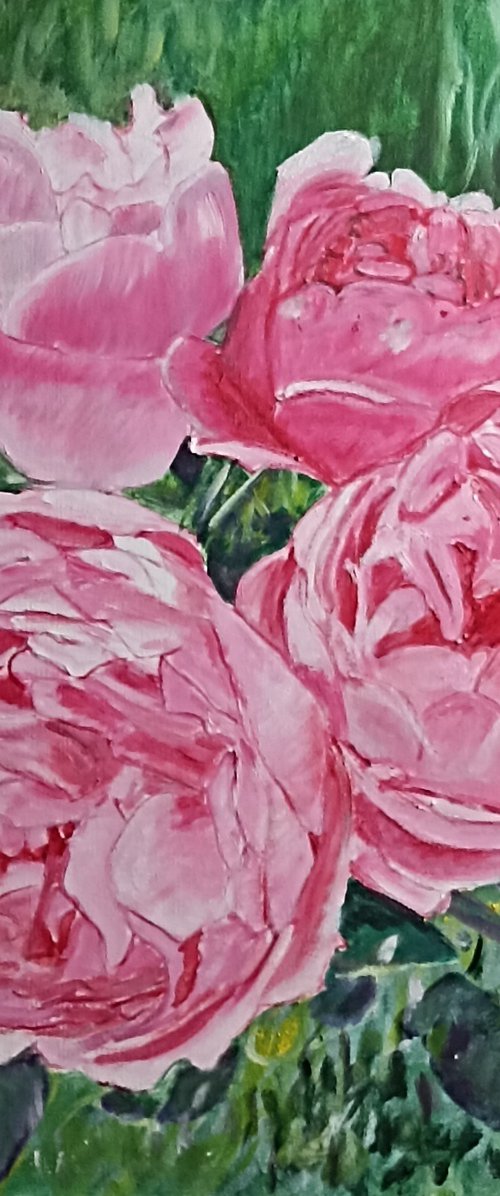 Pink roses by Isabelle Lucas