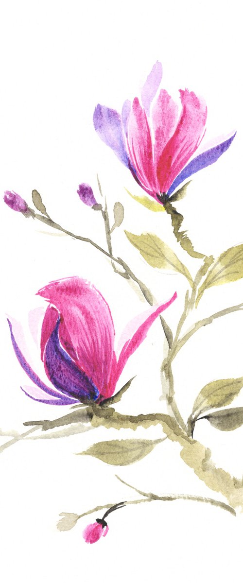 Magnolias in Spring Light by Hai Doan