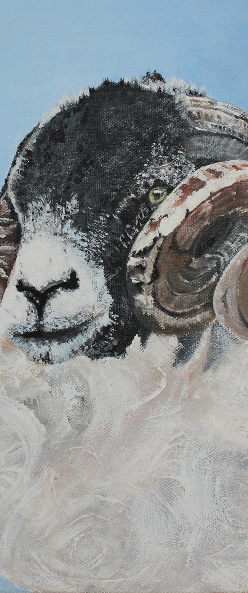 Swaledale beauty by Deborah Jayne Palmer