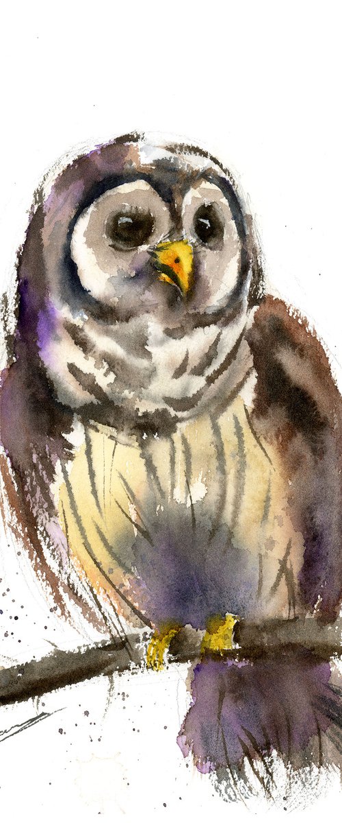 The OWL - sketch by Olga Tchefranov (Shefranov)
