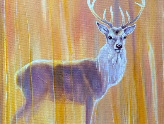 Nascent Stag