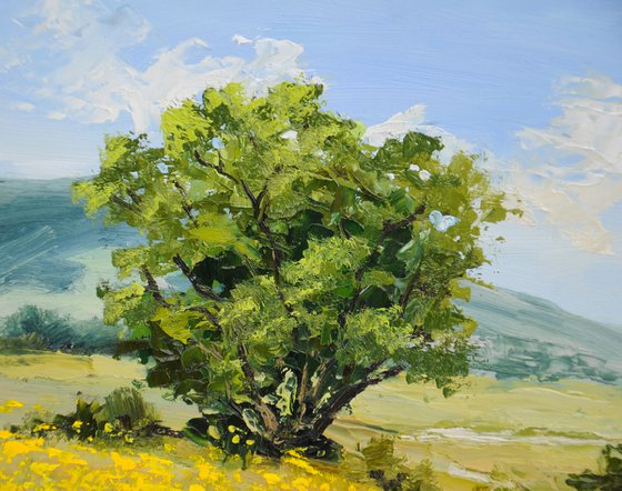 Sunlit Summer Meadow