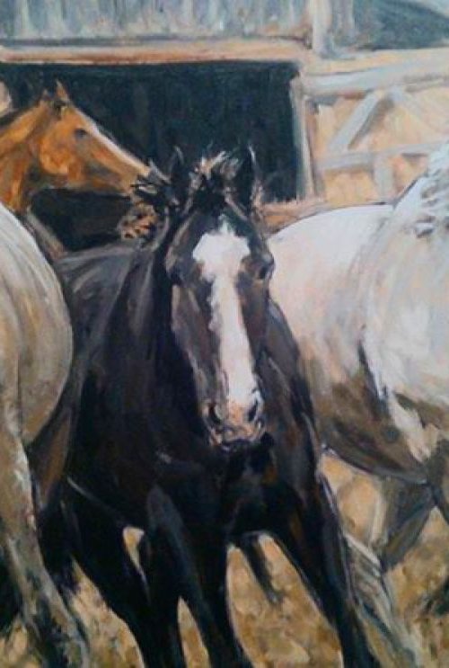 horses by Sebastian Beianu