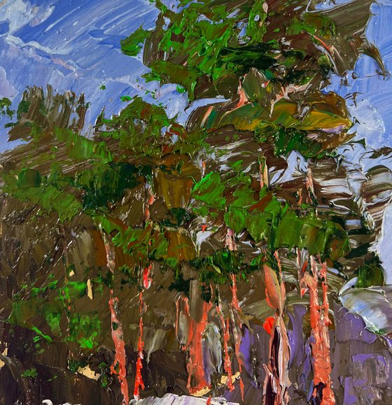 Winter Road through Quiet Forests