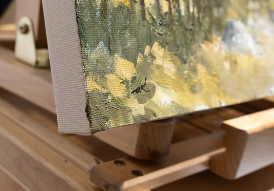 Road To Lower Galilee