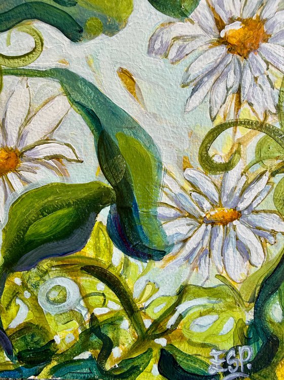 Daisies