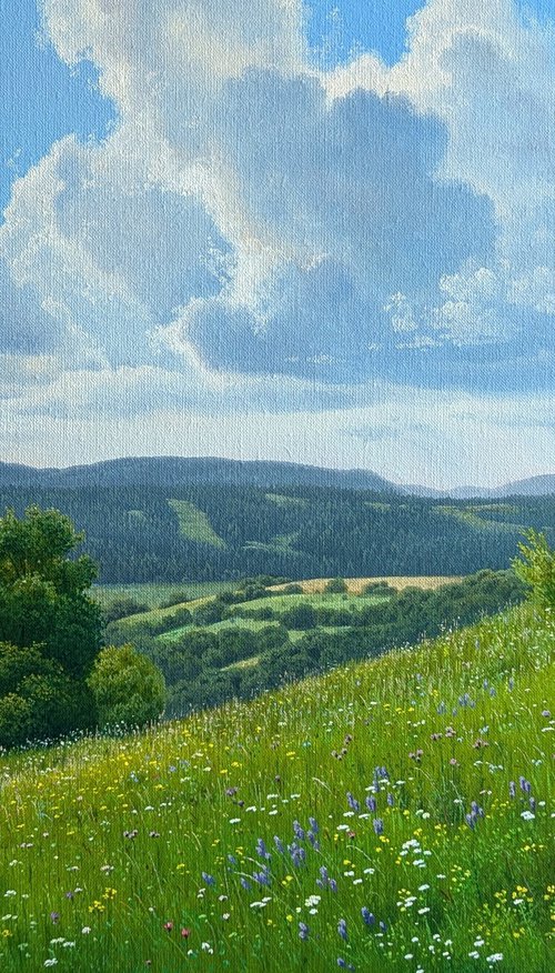 Meadows of early summer by Mlynarcik Emil