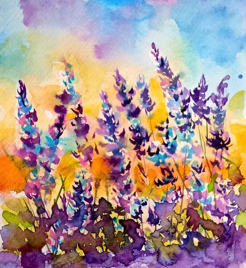 Lavender field by Kovács Anna Brigitta