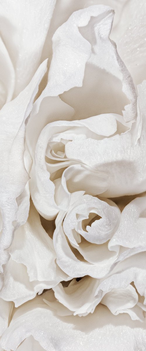 Creamy Passion by Inna Etuvgi