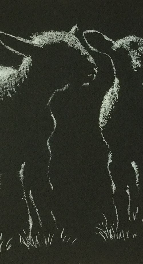 Lambs by Tina Hickman