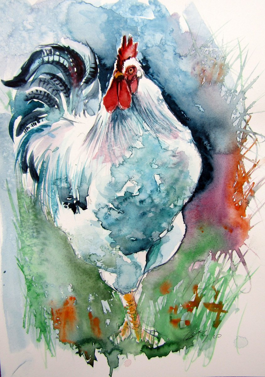 Impressionistic Animal Watercolour By Kovacs Anna Brigitta, 10 X 14", White Rooster, Original Artwork