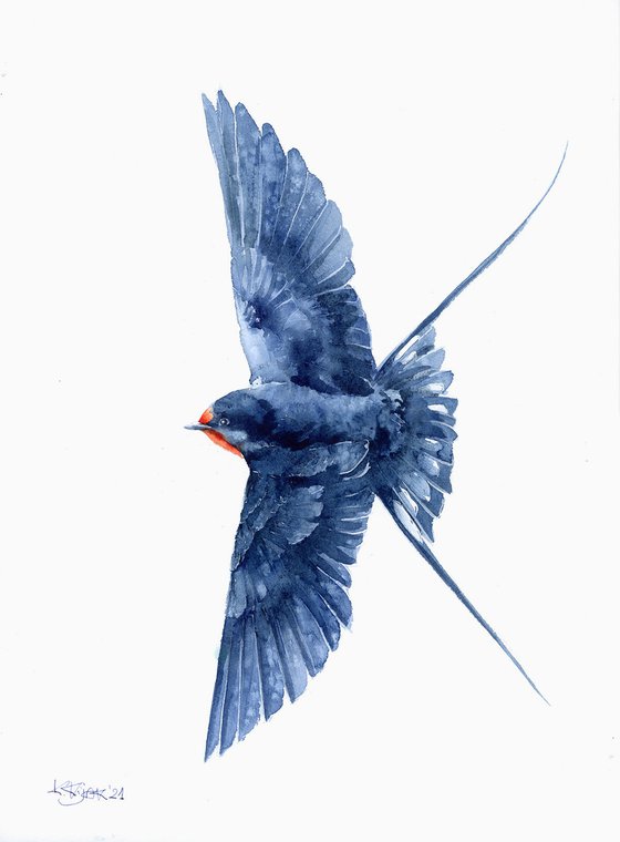 Flying swallow, wildlife, birds watercolours