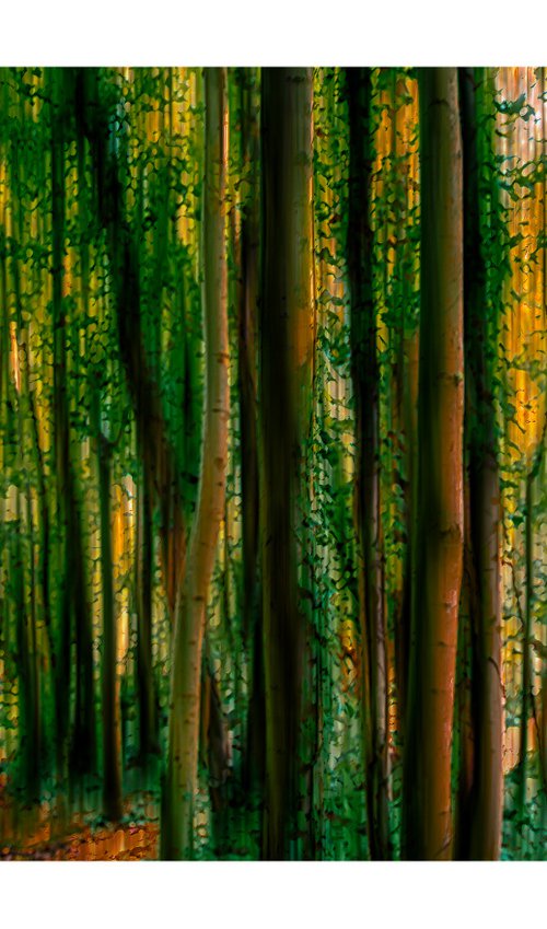 Abstract Forest 2. Limited Edition 1/50 15x10 inch Photographic Print by Graham Briggs
