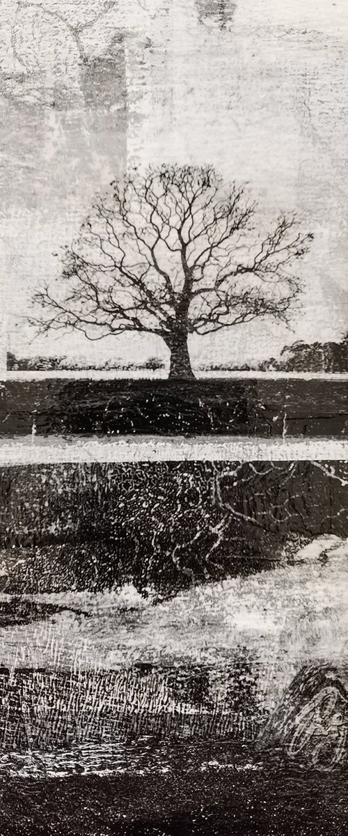 Valiant by Roseanne Jones