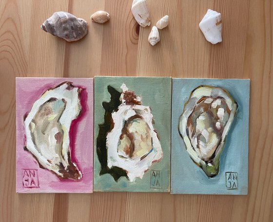 Oysters. Set of 3