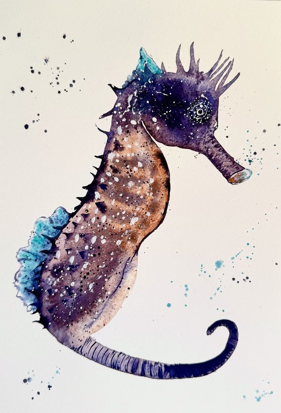 Purple Seahorse underwater