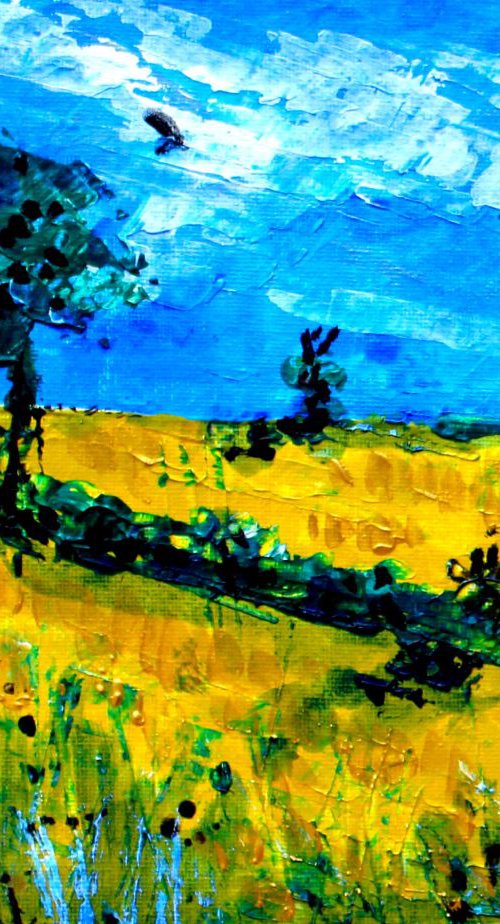 Summer Fields by Paul J Best