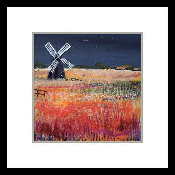 Wicken Fen - Storm Sky