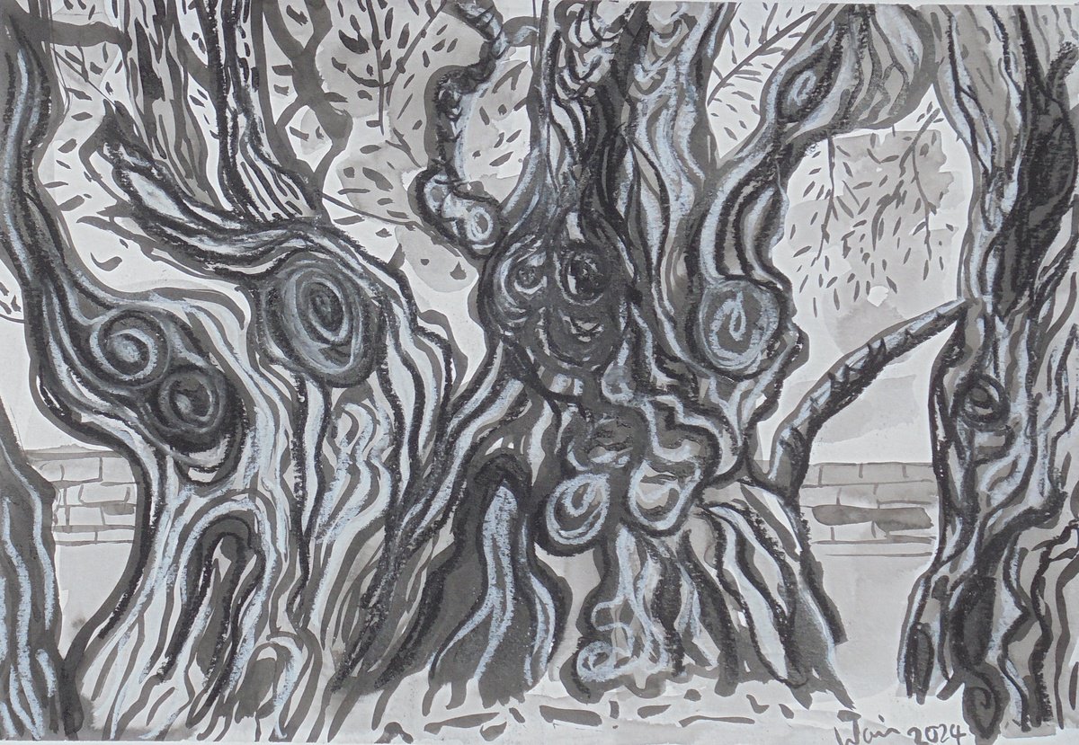 Expressive Landscape Ink Drawing By Kirsty Wain, 17 X 12", 1700 Year Old Olive Tree, Original Artwork