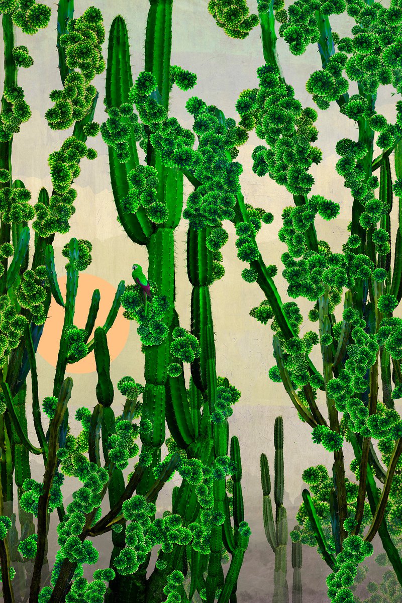 Surrealistic Botanical Photograph By Nadia Attura, 20 X 28", Cactus Sun, Original Artwork