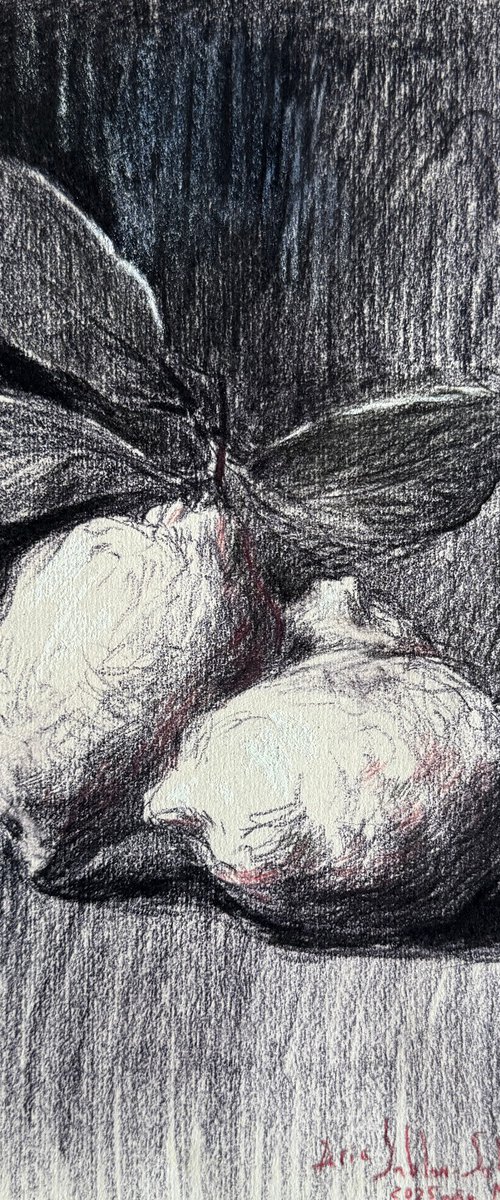 Two Lemons, Quiet Chiaroscuro by Daria Yablon-Soloviova