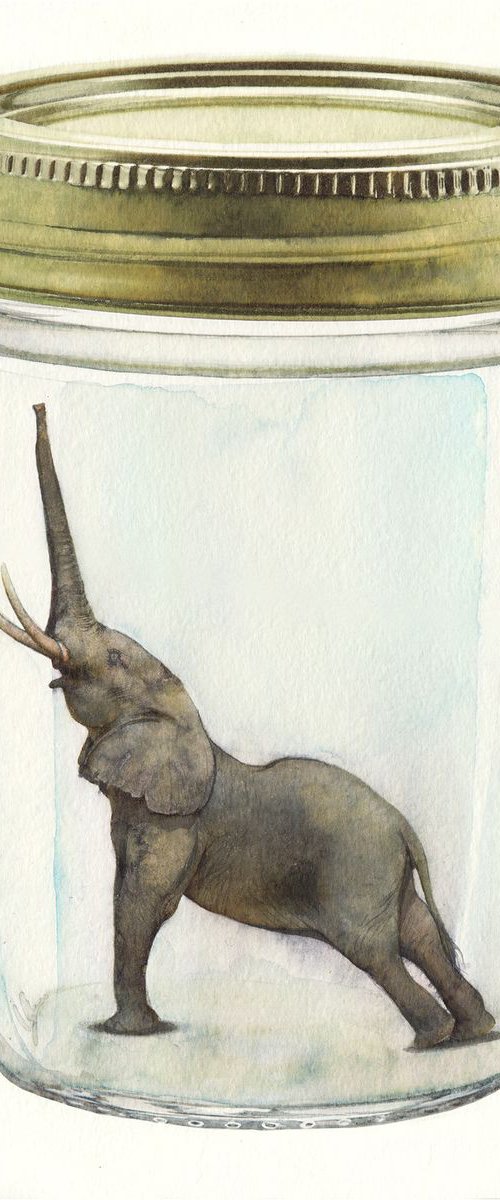 An Elephant in a Jar III by REME Jr.